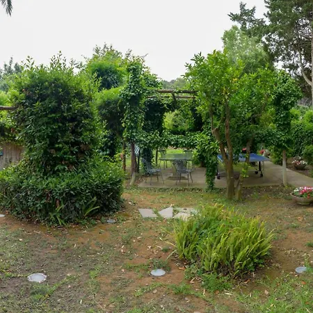 Willa Aurora Caprese Capri